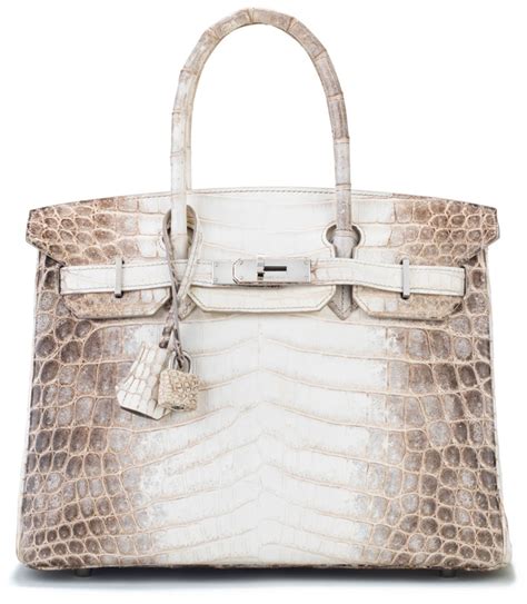 himalayan birkin hermes